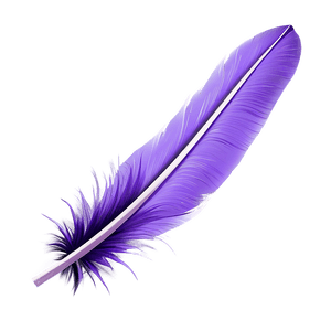 Purple Feather PNG 58 PNG image with transparent background