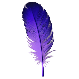 Purple Feather PNG dqu PNG image with transparent background