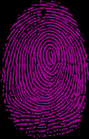 Purple Fingerprint Illustration PNG image with transparent background