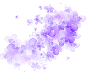 Ftestickers Watercolor Flowers Purple Transparent - Purple Watercolor Flower Transparent, HD Png Download PNG image with transparent background