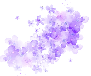 Purple_ Floral_ Watercolor_ Cluster.png PNG Image