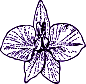 Flower Outline Svg Clip Arts - Larkspur Flower Tattoo, HD Png Download PNG image with transparent background