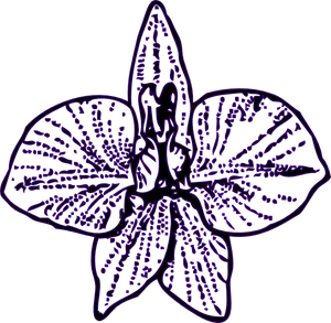 Purple Flower Line Art Outline.png PNG Image