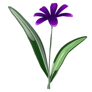 Purple Flower PNG 05062024 PNG image with transparent background