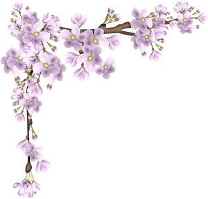 Transparent Purple Flower Border, HD Png Download PNG image with transparent background