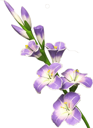 Gladiolo De Decoración - Gladiolus Clipart Transparent Background, HD Png Download PNG image with transparent background