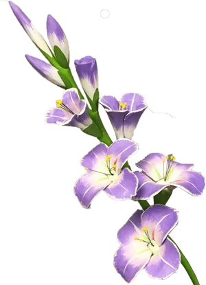 Purple Gladiolus Flowers Transparent Background PNG Image