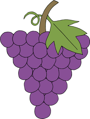 Transparent Grape Clipart - Grape, HD Png Download PNG image with transparent background