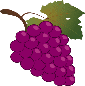 Grapes Clipart, HD Png Download PNG image with transparent background