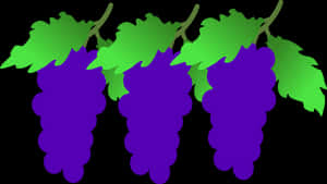 Purple Grape Clusters Vector PNG image with transparent background