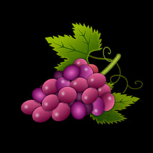 Purple Grapes Cluster Illustration PNG image with transparent background