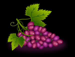 Purple Grapes Cluster Illustration PNG image with transparent background