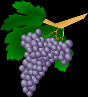 Purple Grapes Cluster Illustration PNG image with transparent background