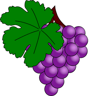 Clip Art Grape, HD Png Download PNG image with transparent background