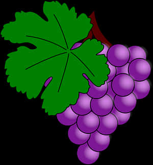 Purple Grapes Vector Illustration PNG image with transparent background
