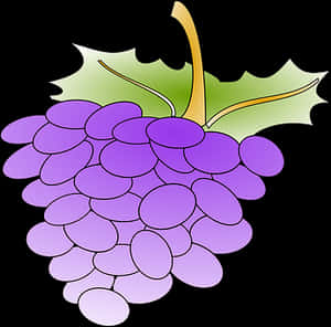 Purple Grapes Vector Illustration PNG image with transparent background