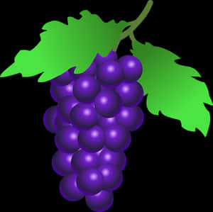 Purple Grapes Vector Illustration PNG image with transparent background