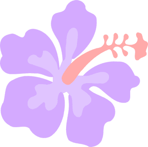 Purple Hibiscus Vector Illustration PNG image with transparent background