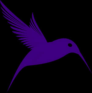 Purple Hummingbird Silhouette PNG image with transparent background
