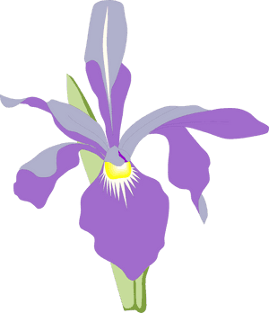 Orchid Free Stock Photo Illustration Of A Purple Orchid - Orchid Flower Illustration Png, Transparent Png PNG image with transparent background