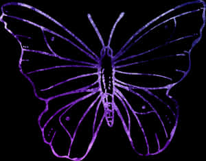 Purple Outlined Butterflyon Black Background PNG image with transparent background