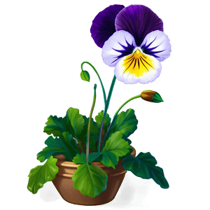 Purple Pansy PNG ffn PNG image with transparent background
