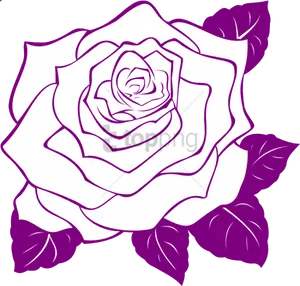 Purple_ Rose_ Outline_ Artwork PNG Image