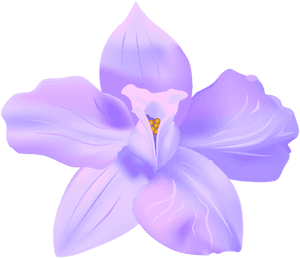 Transparent Spring Flower - Spring Flower Transparent Background, HD Png Download PNG image with transparent background