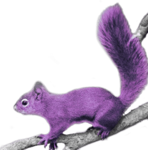 Purple Squirrelon Branch PNG image with transparent background
