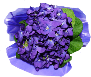 Flower Petals Png Image - Artificial Flower, Transparent Png PNG image with transparent background