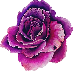 Purple Watercolor Rose Artwork PNG Image