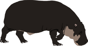 Pygmy Hippopotamus By Michell - Hippopotamus, HD Png Download PNG image with transparent background