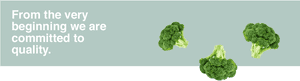 Transparent Brocoli Png - Broccoli, Png Download PNG image with transparent background