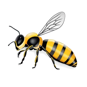 Queen Bee Illustration Png Ets96 PNG Image