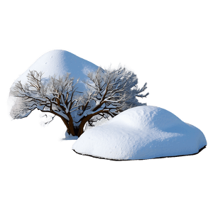 Quiet Snow Blizzard PNG pju32 PNG with transparent background