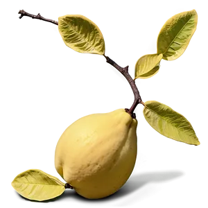 Quince Harvest Scene Png 54 PNG Image