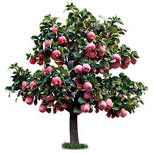 Quince Tree Png Uqx18 PNG Image