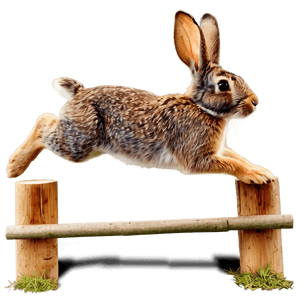 Rabbit Jumping Clipart PNG omc PNG