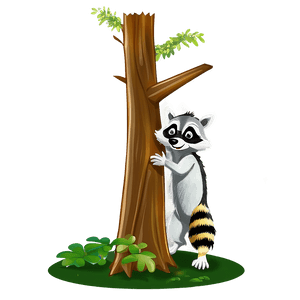 Raccoon Climbing Tree PNG 60 PNG