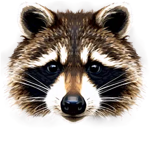 Raccoon Face Close-up Png 05242024 PNG Image