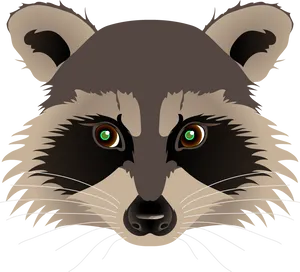 Raccoon Portrait Vector Illustration PNG Image