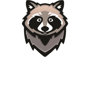 Raccoon, HD Png Download PNG image with transparent background