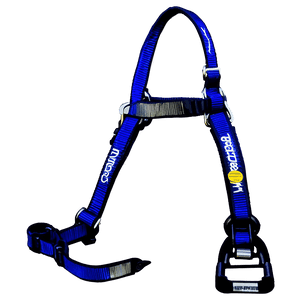 Racing Harness Strap PNG jbu27 PNG