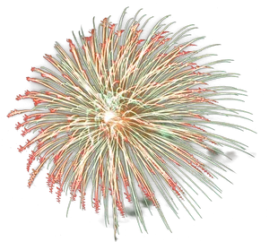 Radiant Firework Explosion Night Sky PNG Image