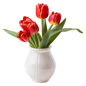 Radiant Red Tulips Png Paj PNG Image