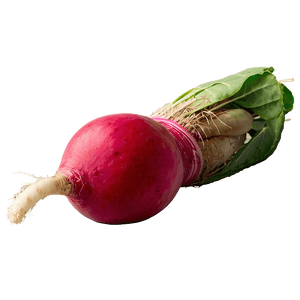 Radish Root PNG pfu91 PNG with transparent background