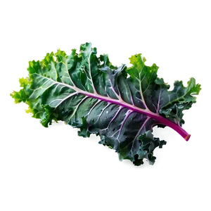 Rainbow Kale Png Srs99 PNG Image