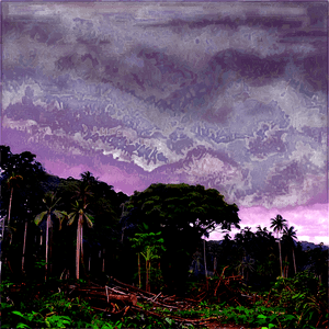 Rainforest Destruction PNG jkn PNG