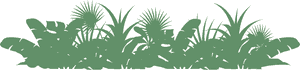 Rainforest Png Photo - Rainforest Png, Transparent Png PNG image with transparent background