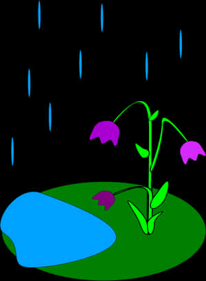 Rainy Night Flower Illustration PNG image with transparent background